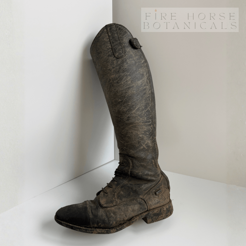 Dirty black leather riding boot on a white surface with 'Fire Horse Botanicals' branding.