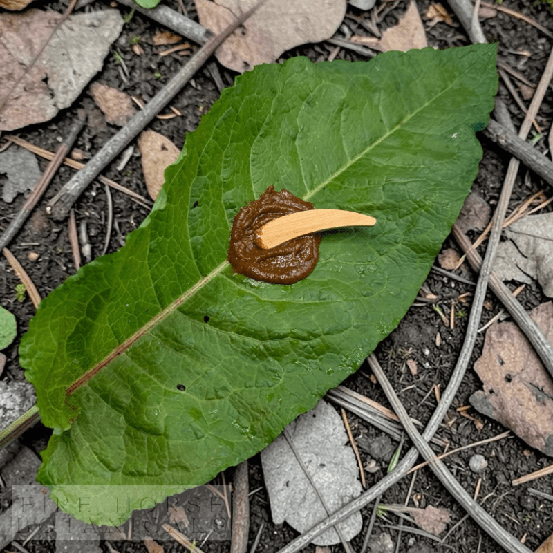 'Fire Horse Botanicals' healing balm on a leaf with a natural background of soil and leaves