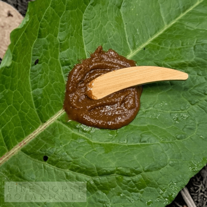 Healing balm on a green leaf with a wooden applicator, branded 'Fire Horse Botanicals'.