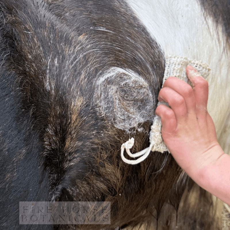 Person using 'Fire Horse Botanicals' soap in a sisal bag to wash a horse.